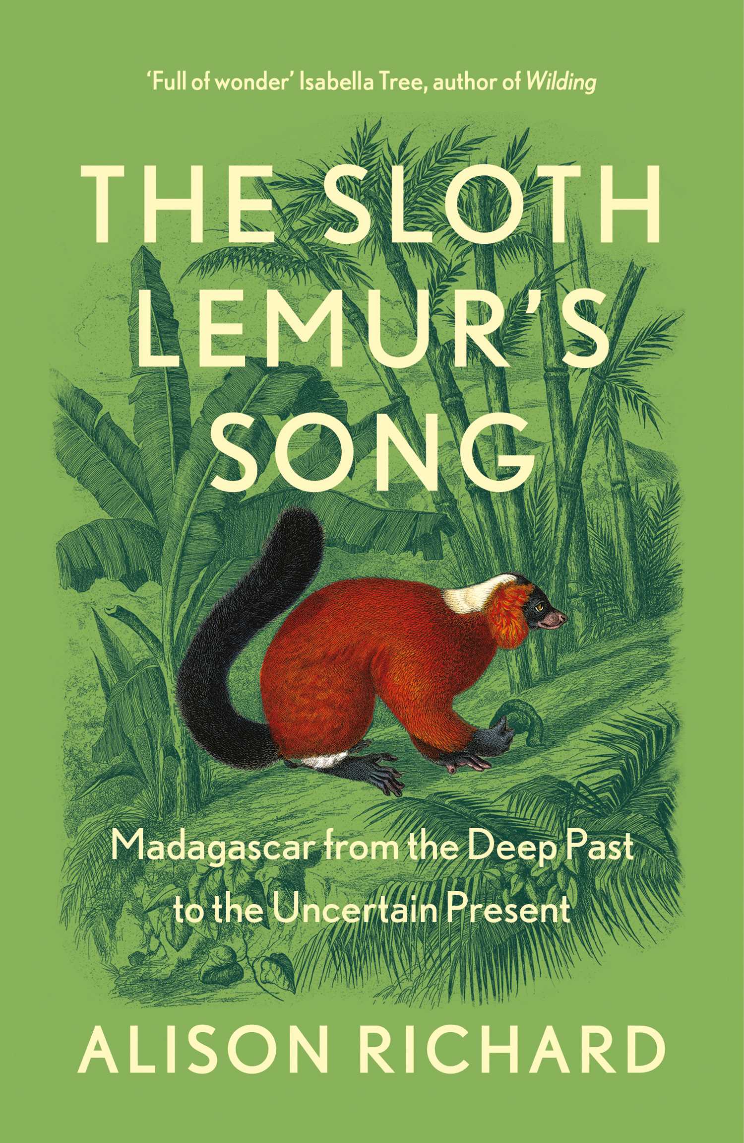 The Sloth Lemur’s Song