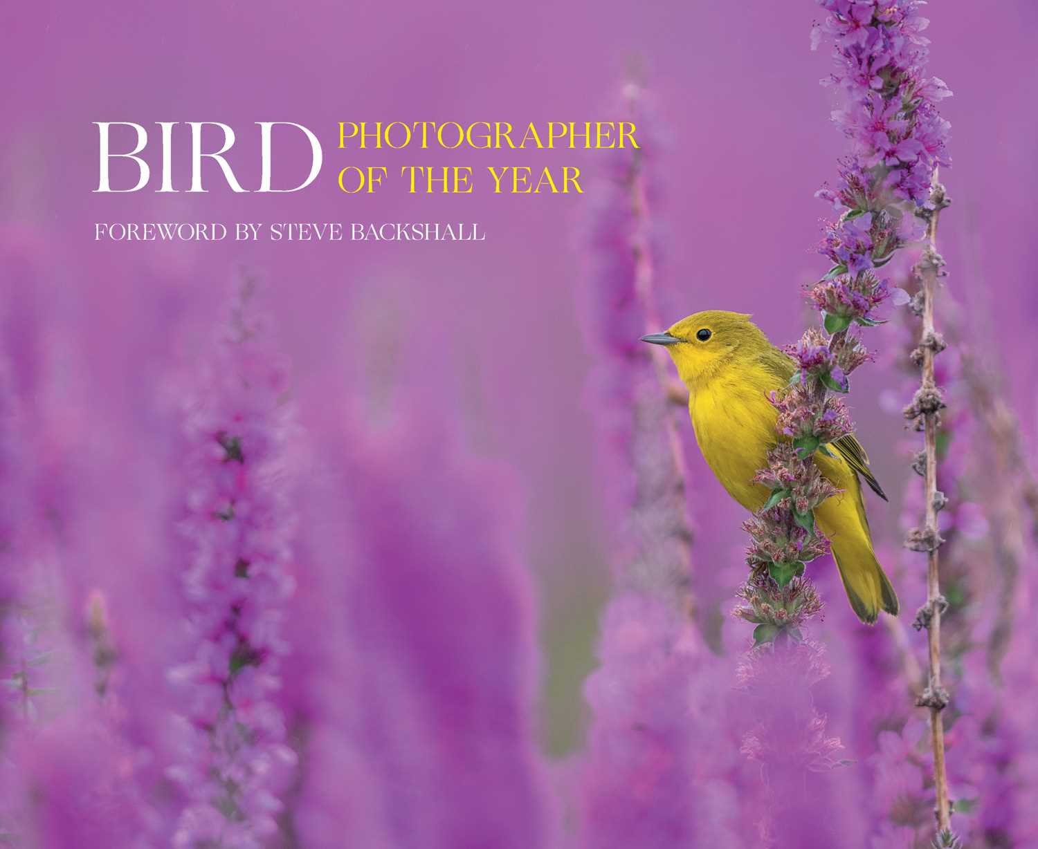 Bird Photographer of the Year
