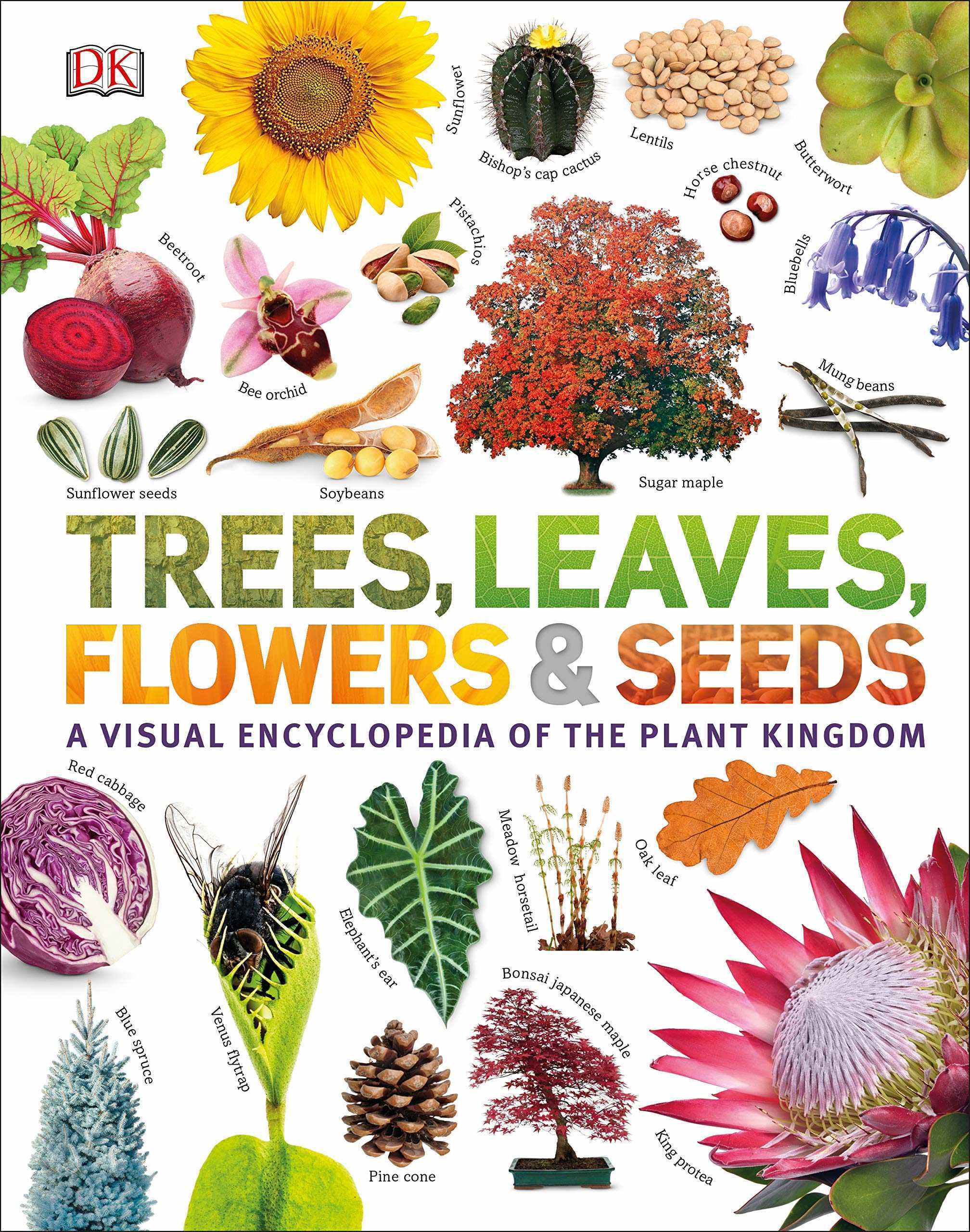 Trees, Leaves, Flowers and Seeds
