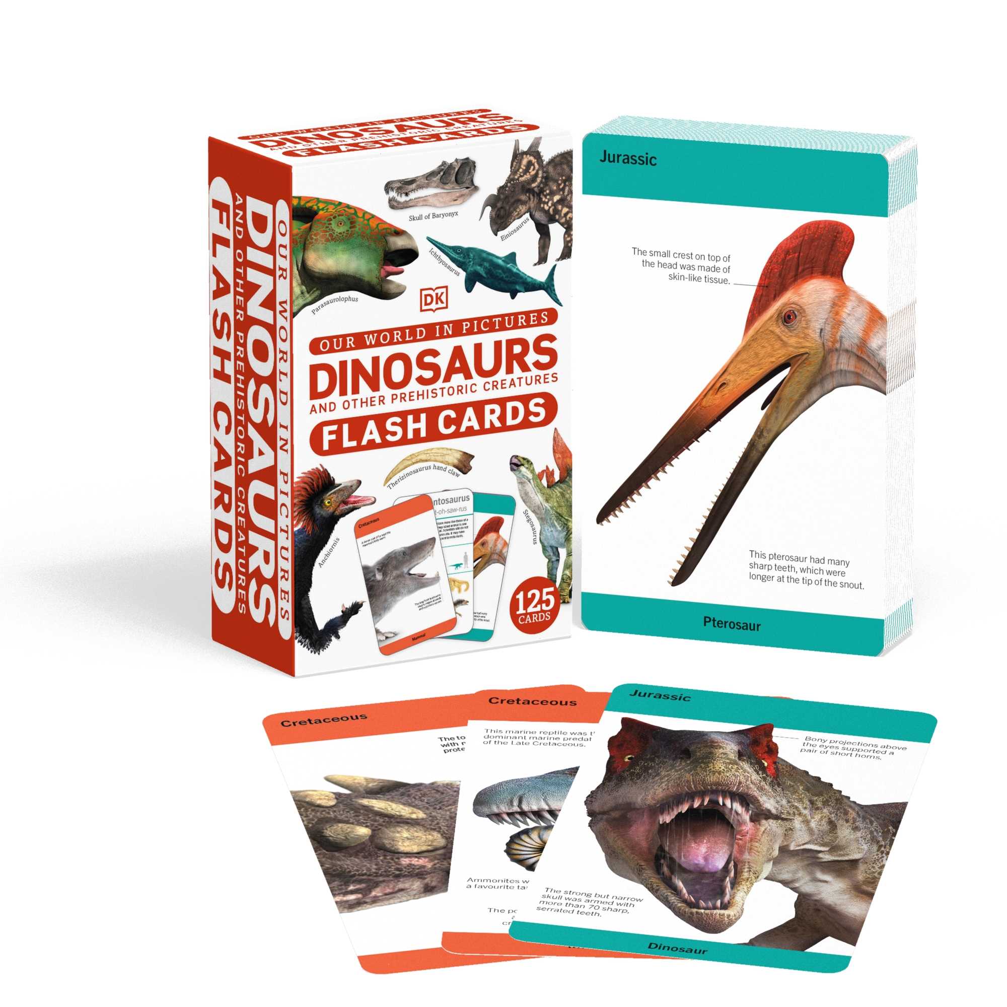 Dinosaurs and Other Prehistoric Creatures Flash Cards (Our World in Pictures)