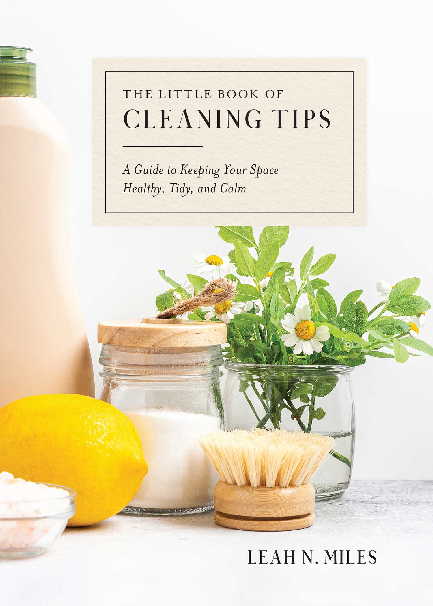 The Little Book of Cleaning Tips