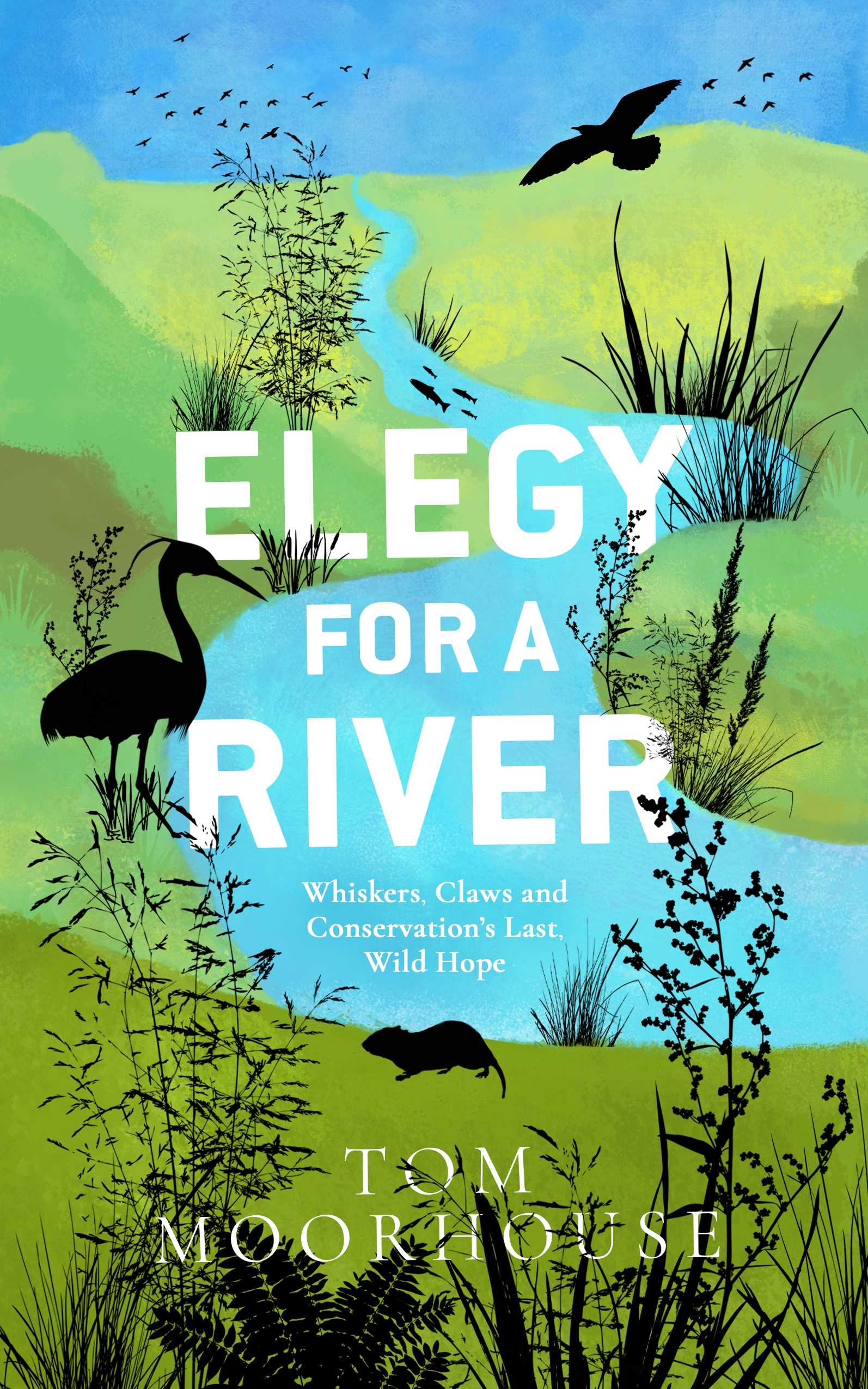 Elegy For a River