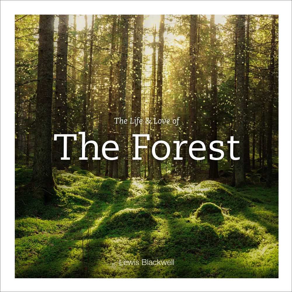 The Life &amp; Love of the Forest