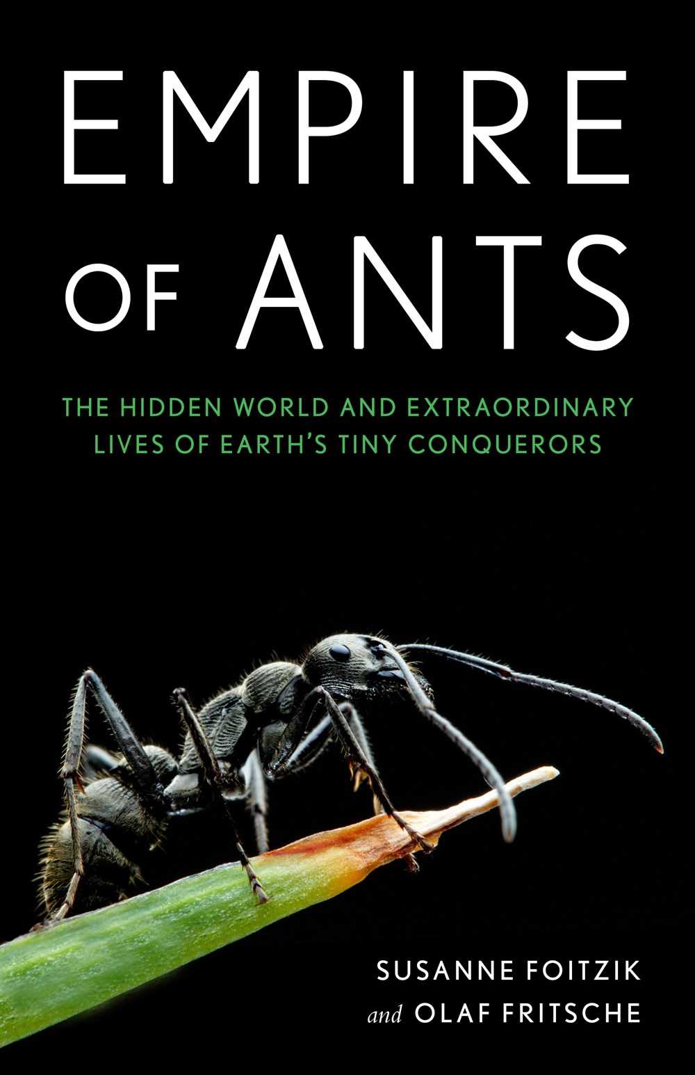 Empire of Ants