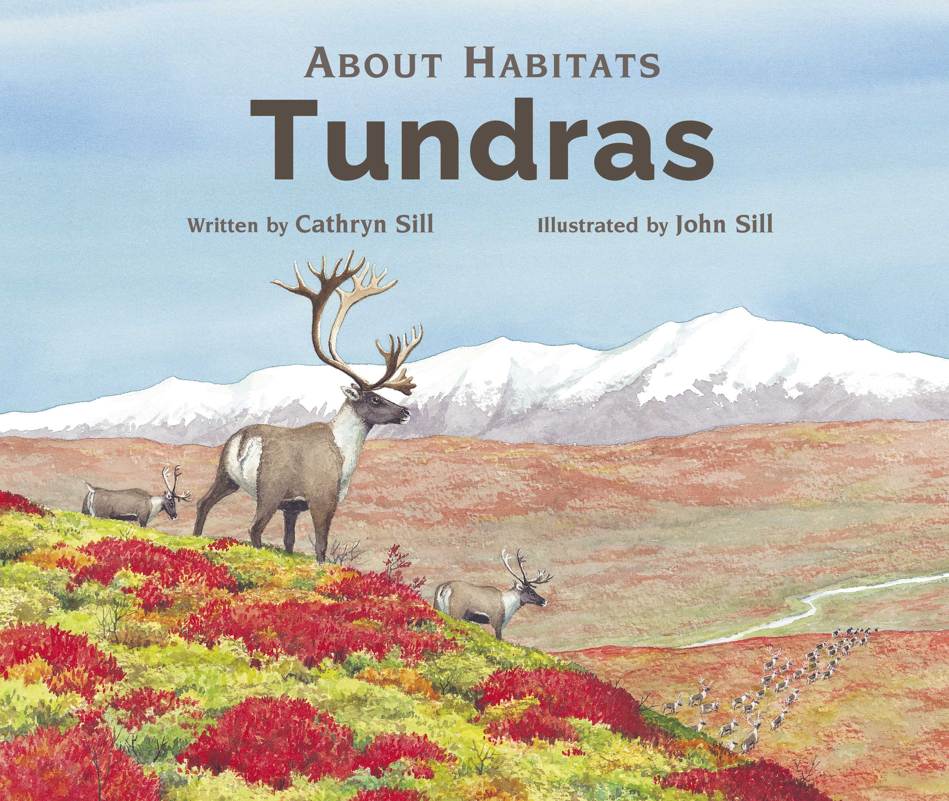 Tundras (About Habitats)