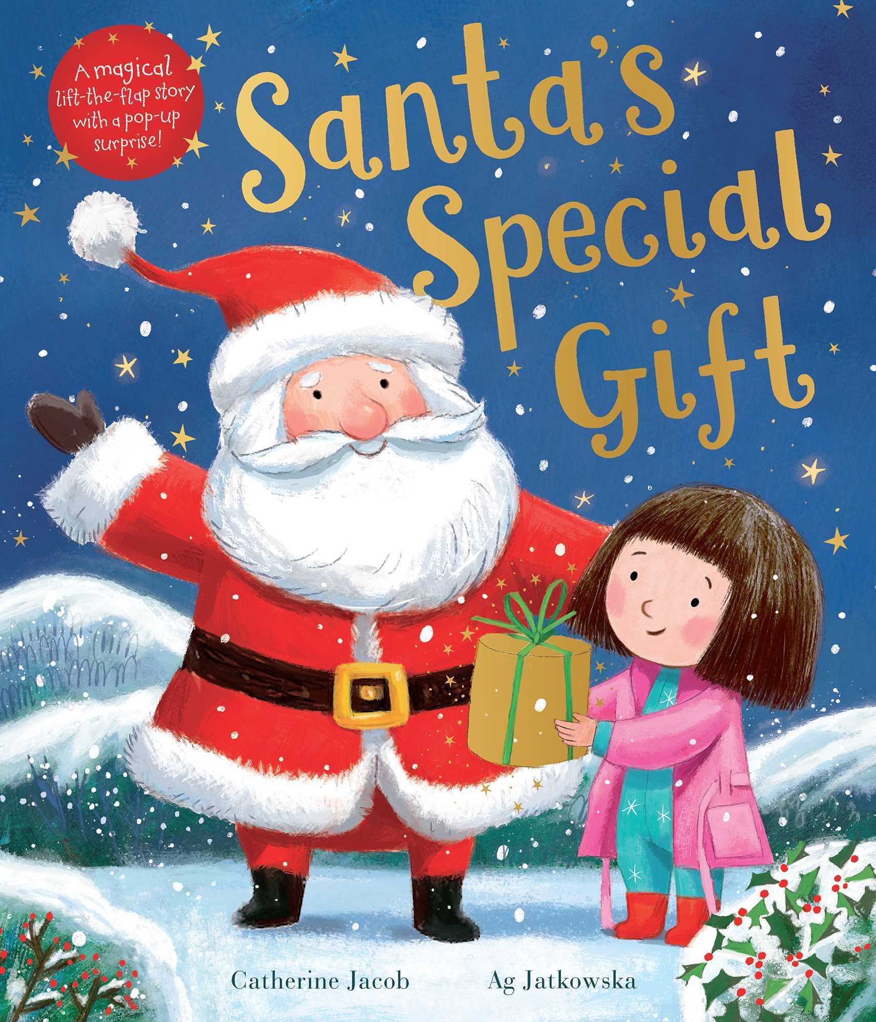 Santa's Special Gift (Lift-the-flap)