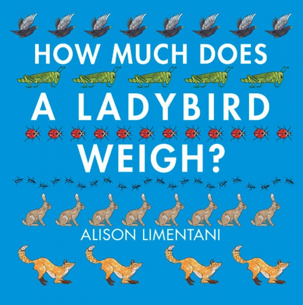 How Much Does a Ladybird Weigh?